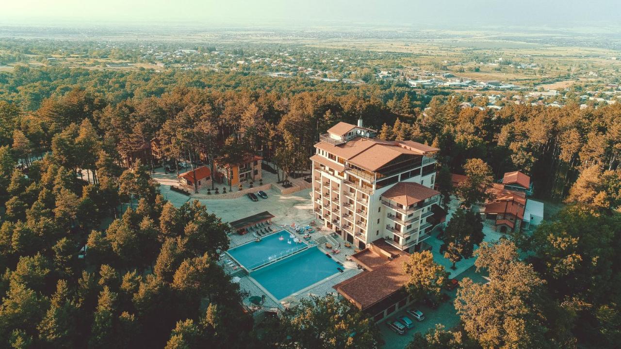 Zuzumbo Resort & Spa Telavi Eksteriør bilde