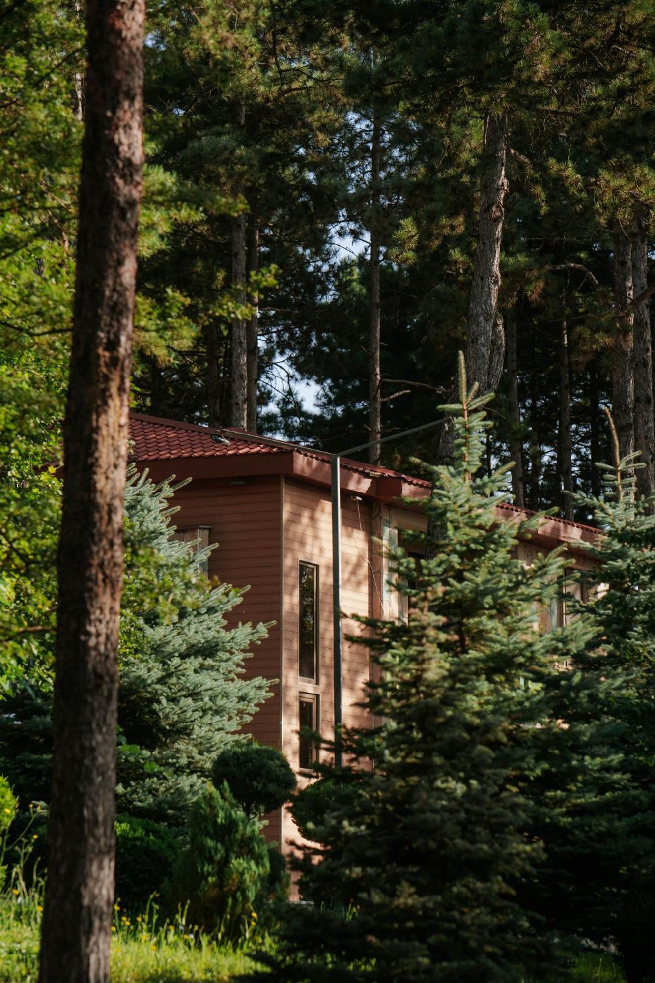 Zuzumbo Resort & Spa Telavi Eksteriør bilde